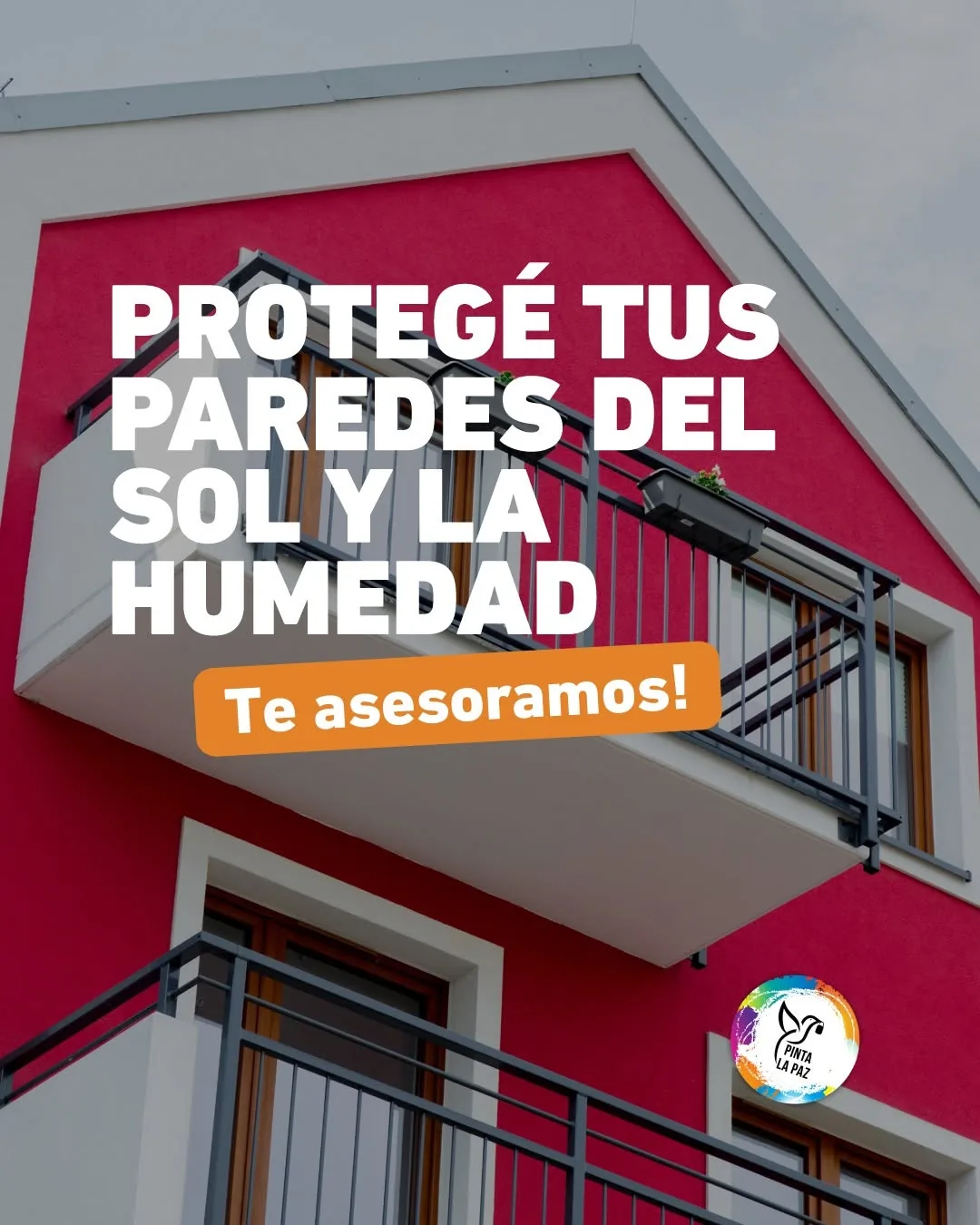 Pinta La Paz — pieza 14
